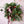 Berry & Bows