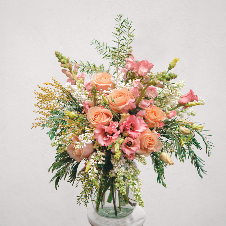 Mimosa Rose